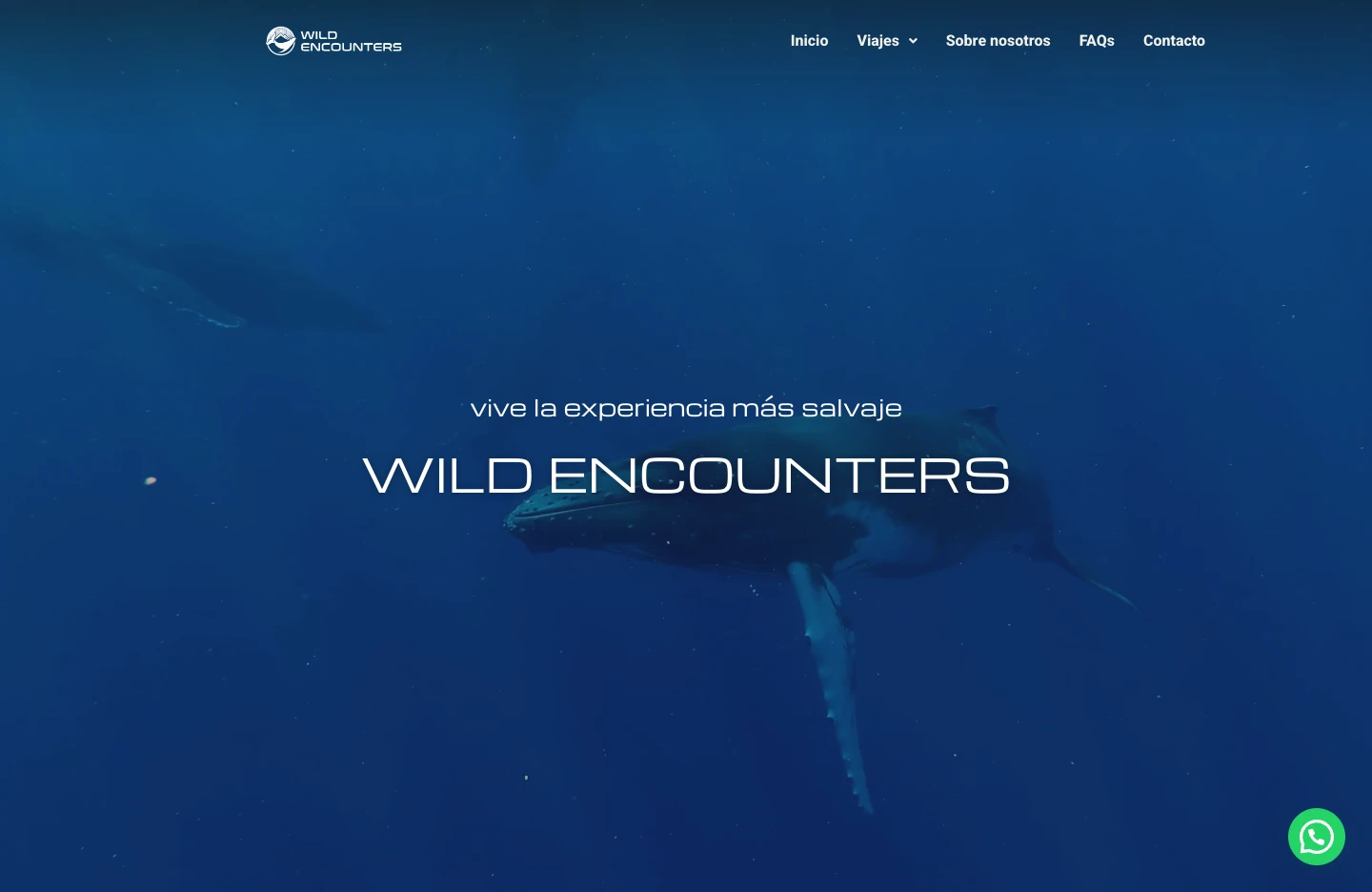 Web de Wild Encounters Trip con una ballena y navegación de destinos.